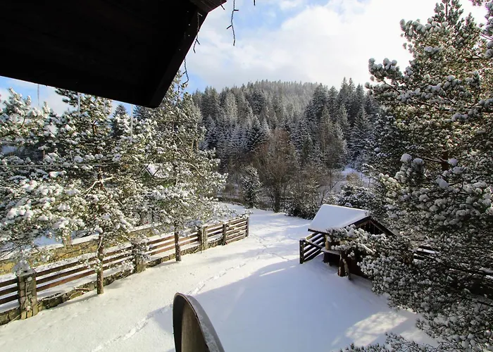Holiday home хуторянка Tatariv